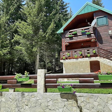 Tanjuska Villa Zabljak  Ngoại thất bức ảnh