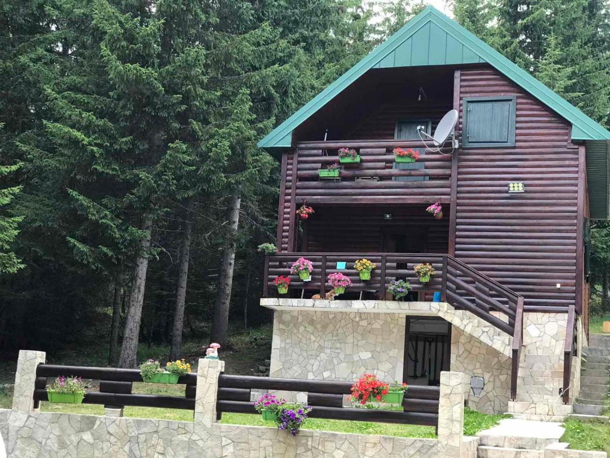 Tanjuska Villa Zabljak  Ngoại thất bức ảnh