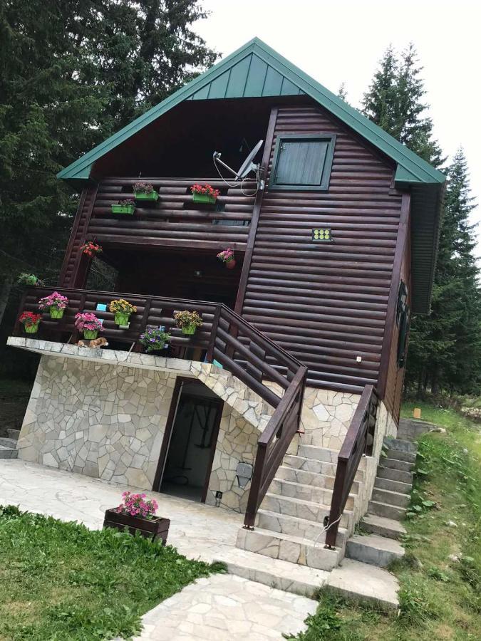 Tanjuska Villa Zabljak  Ngoại thất bức ảnh