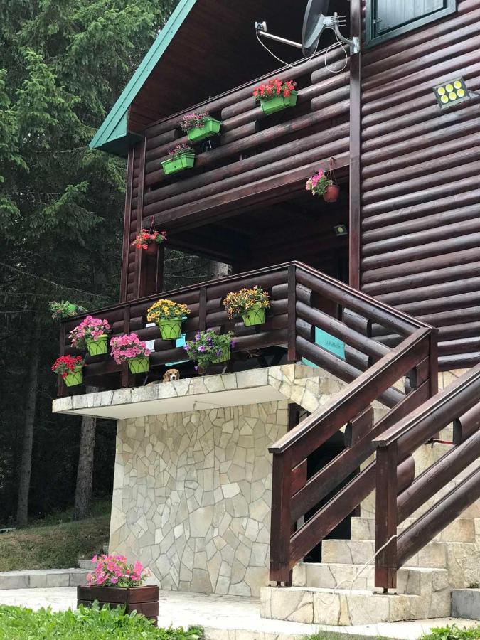 Tanjuska Villa Zabljak  Ngoại thất bức ảnh