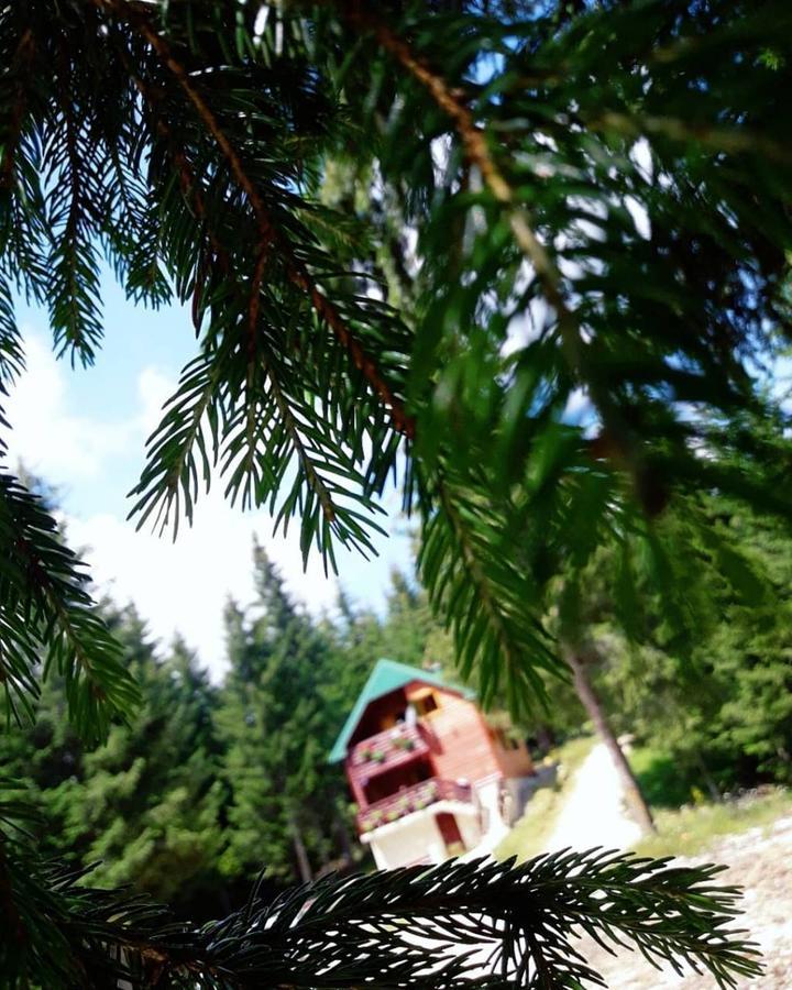 Tanjuska Villa Zabljak  Ngoại thất bức ảnh